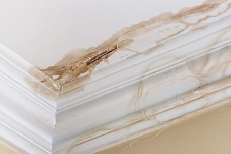 How To Fix Peeling Paint in your Bathroom